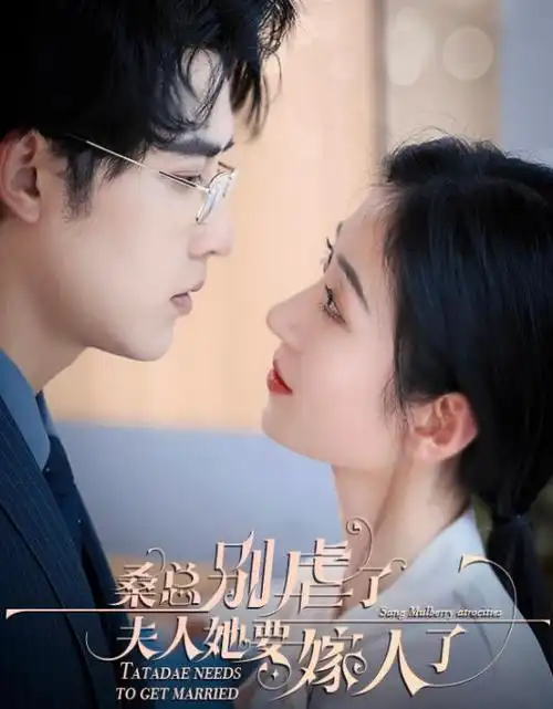长夜回声犯罪剧全集免费在线观看